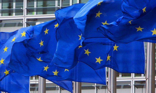 EU flags